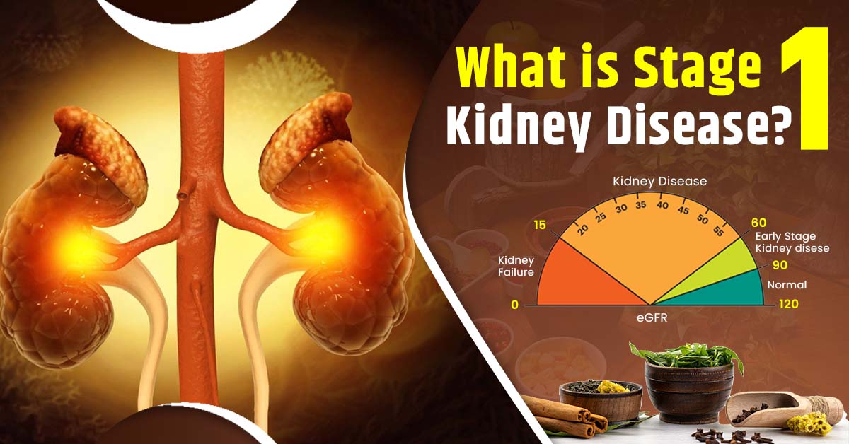 What Is Stage 1 Kidney Disease?